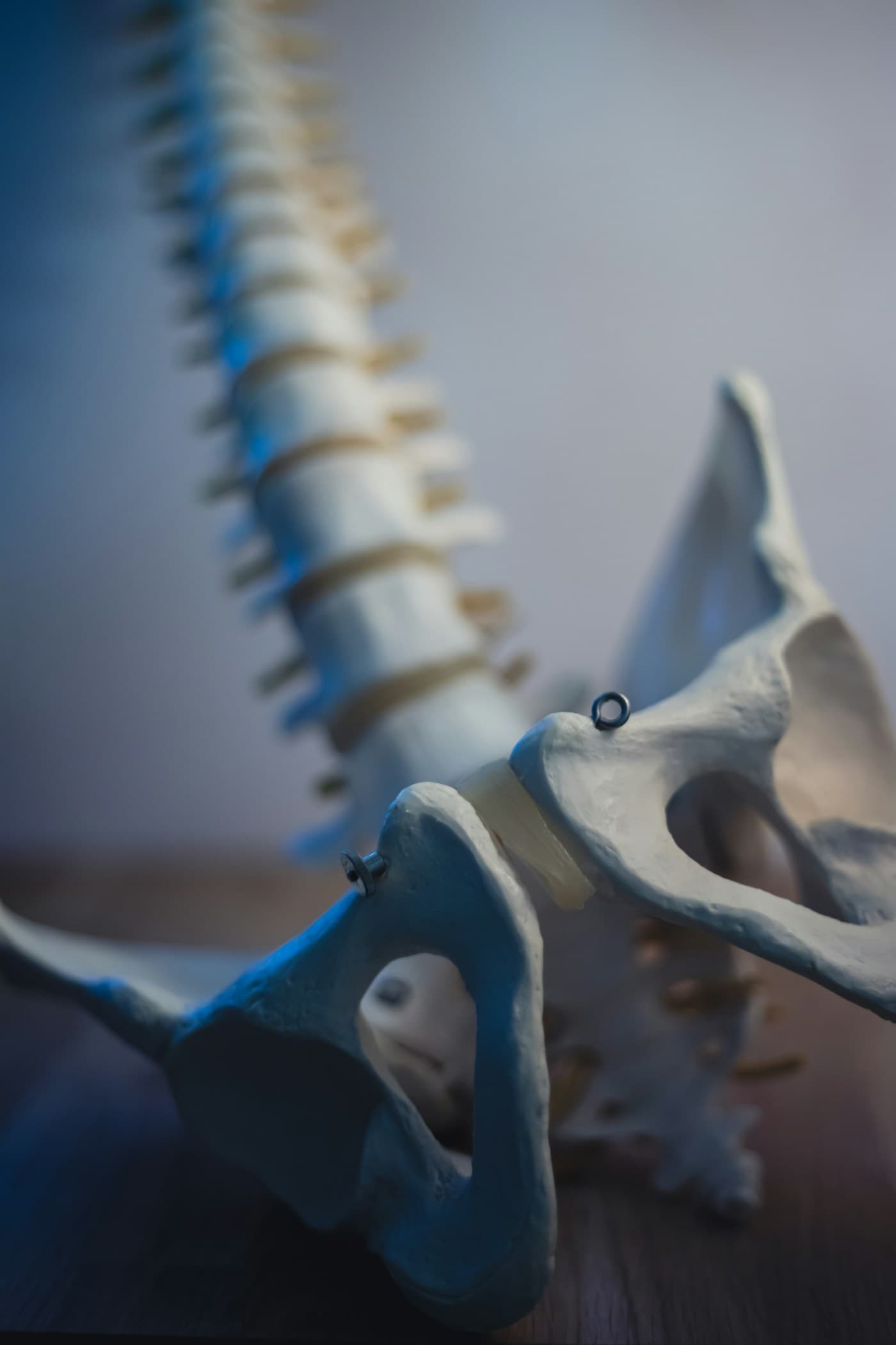 Chiropractic Treatment